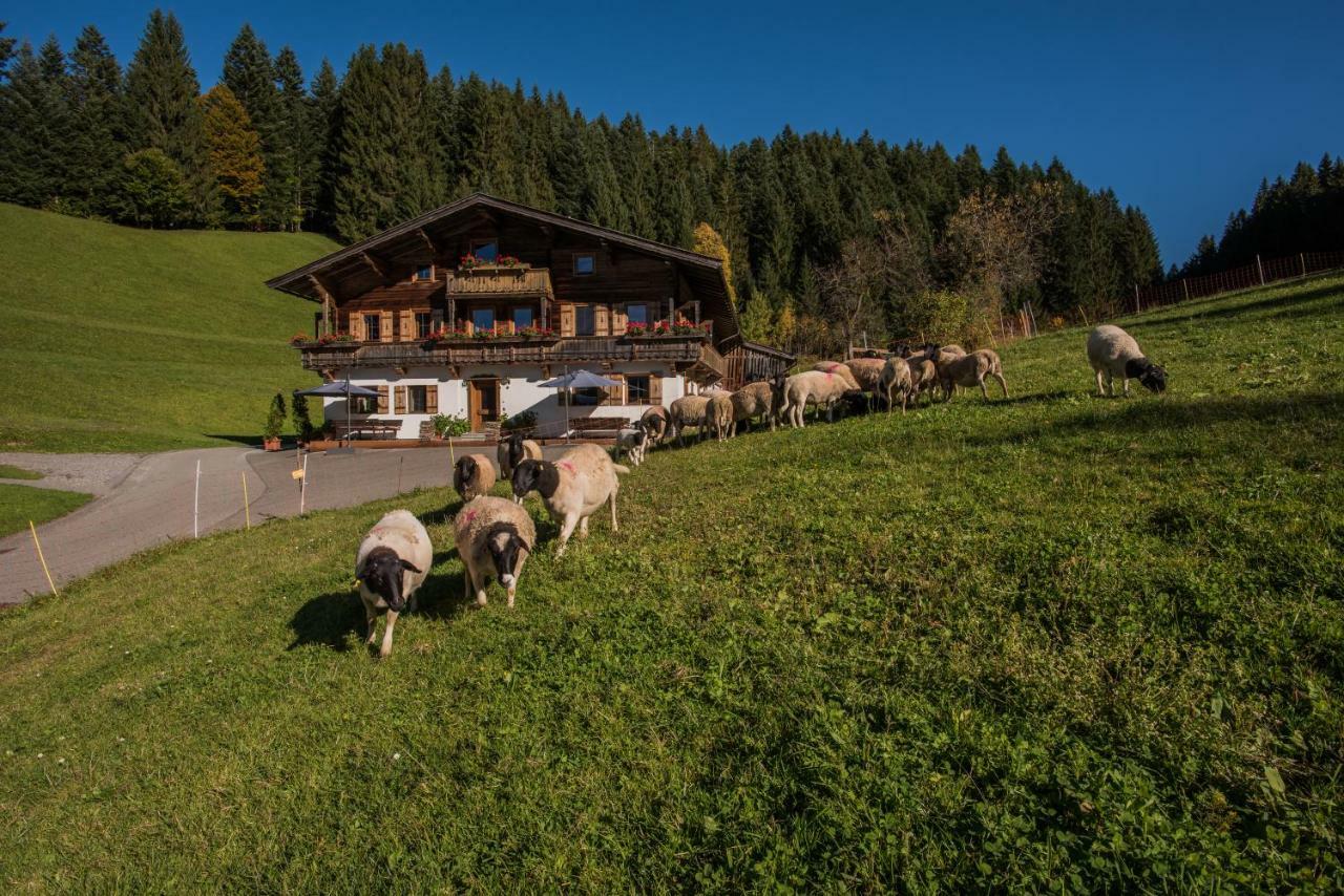 Appartement Bauernhof Muehltalhof à Ellmau Extérieur photo
